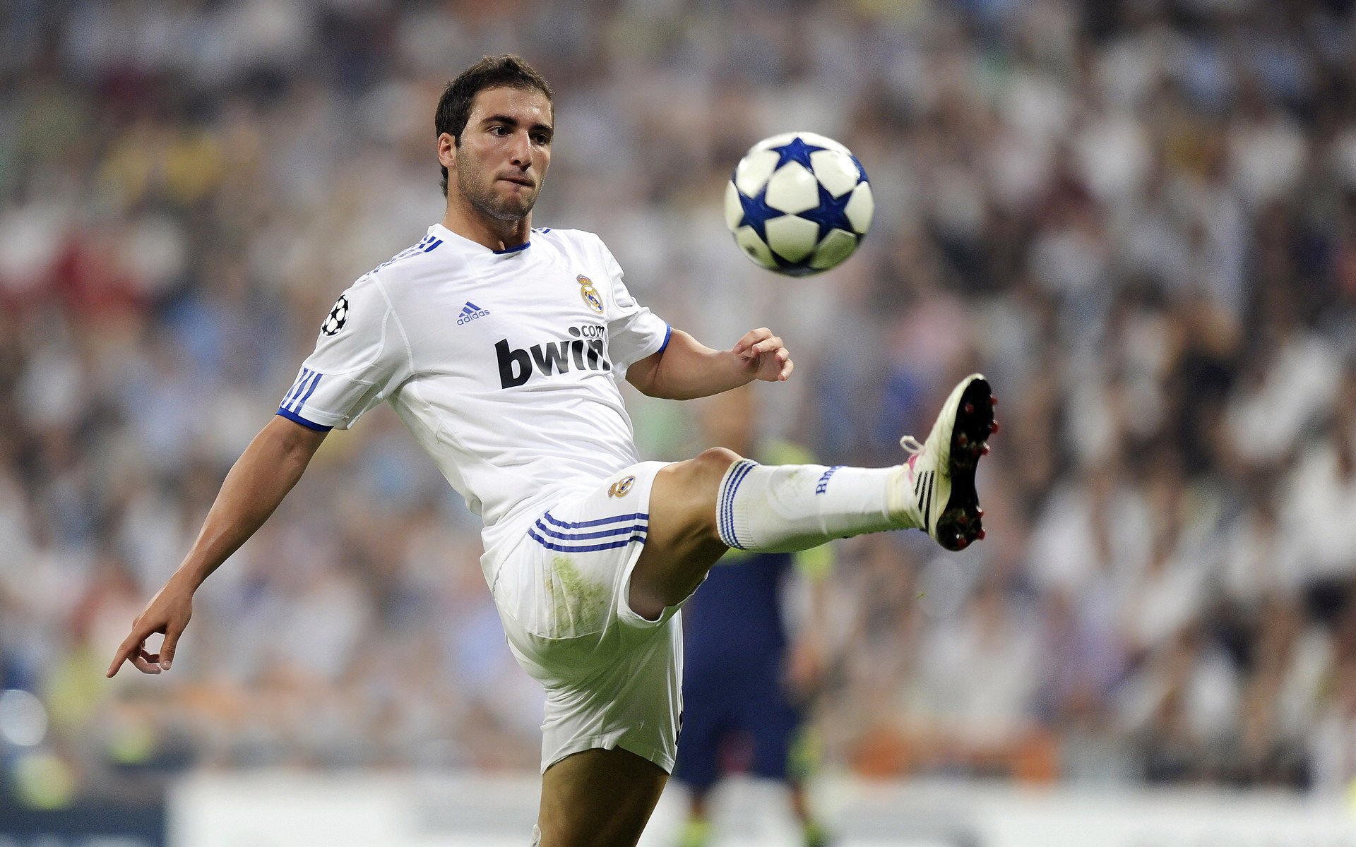 美洲杯明星闪耀：精彩突破不断刷新纪录！，美洲杯得主